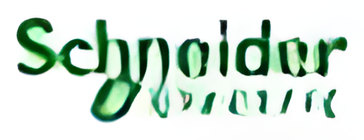 Schneider Electric